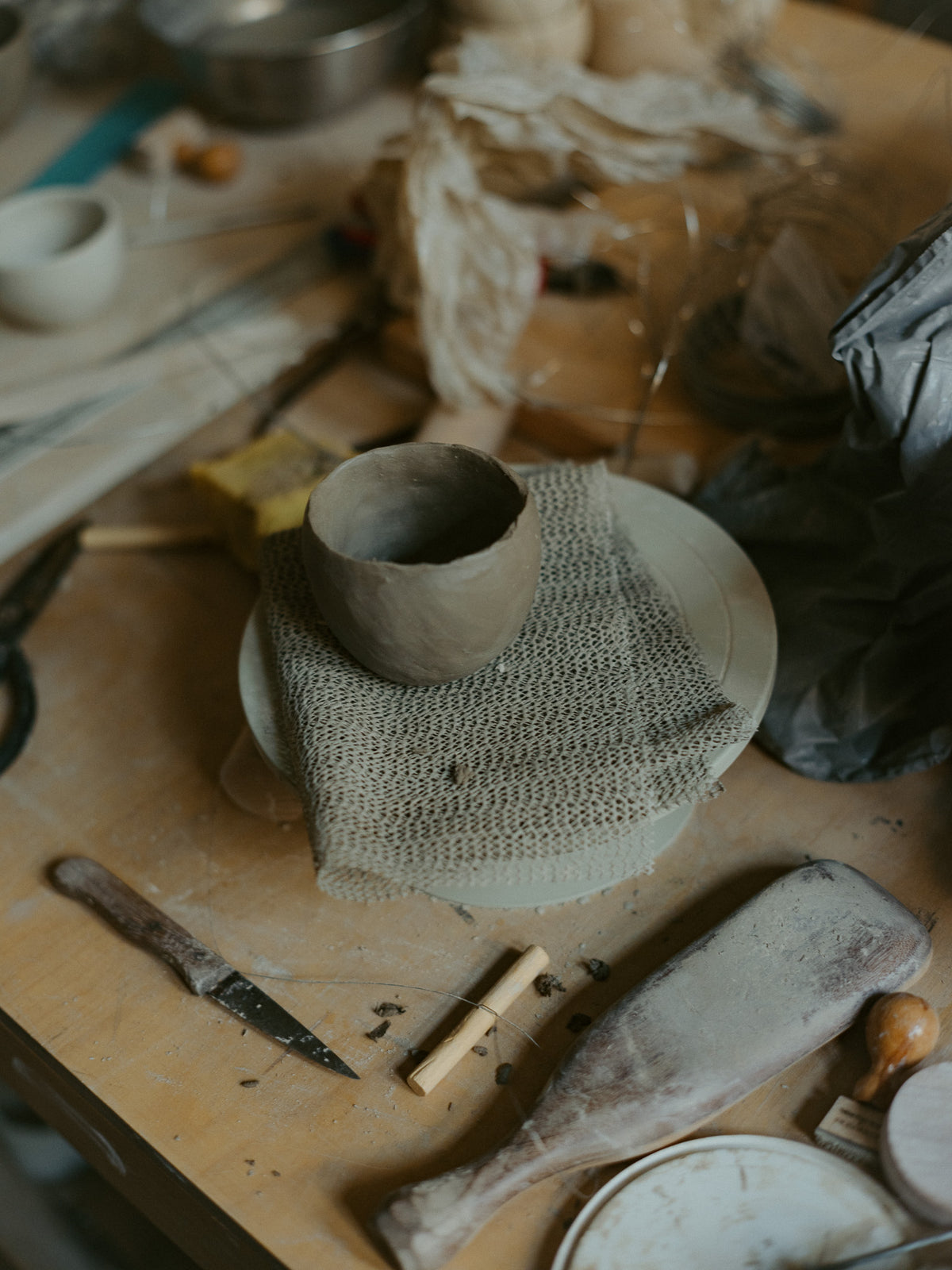 Yellow Nose Studio image 1