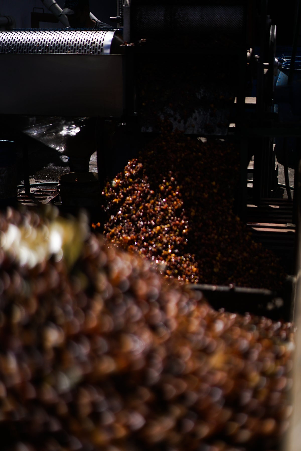 Los Volcanes Coffee  image 3